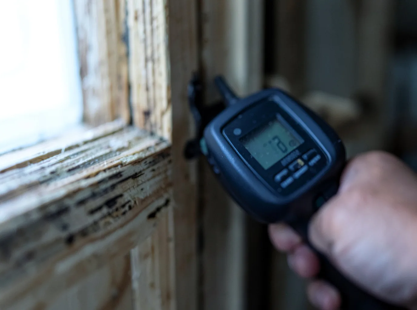 Moisture Inspection And Documentation in Beallsville, OH